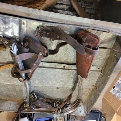 Antique but serviceable tree climbing gear