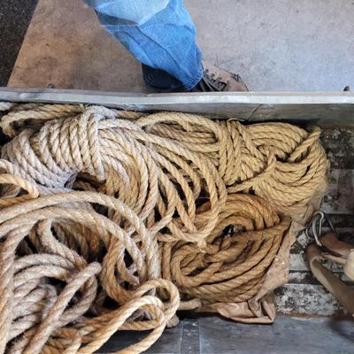 Antique but serviceable tree climbing gear