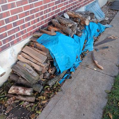FIREWOOD, SMALL HATCHET AND 2 HAND SAWS
