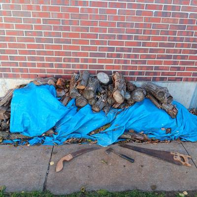 FIREWOOD, SMALL HATCHET AND 2 HAND SAWS