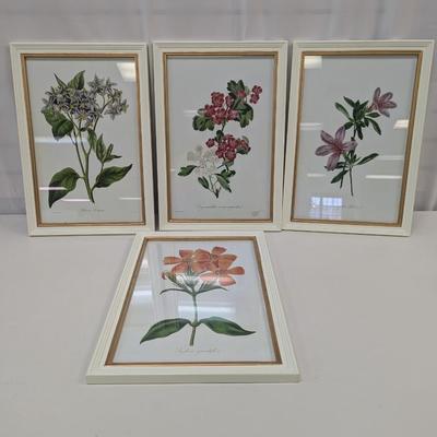 Frederick William Smith Flowering Plants Art Approx 12 1/2" x 17 1/8"