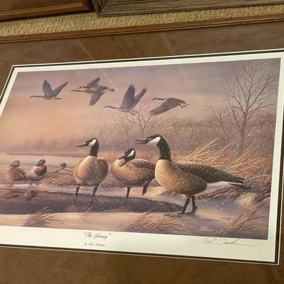 5 wildlife prints