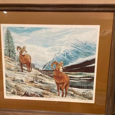 5 wildlife prints