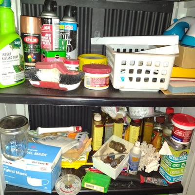 Contents of Garage Cabinet