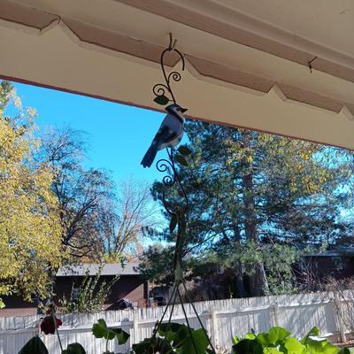1 HANGING GERANIUM AND 3 FLOWER POTS PLUS GARDENING TOOLS