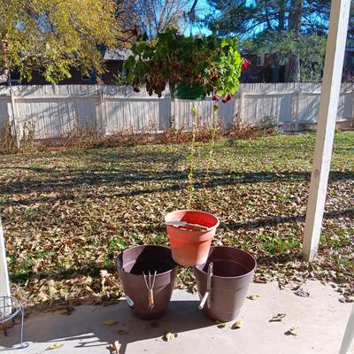 1 HANGING GERANIUM AND 3 FLOWER POTS PLUS GARDENING TOOLS