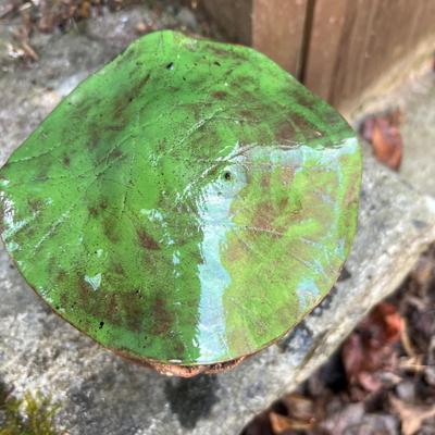 Pottery Birdhouse Plus Plant Pots (Y-RG)