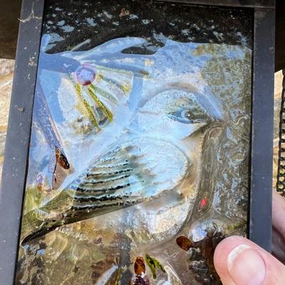 Glass Hummingbird Feeder Plus Bird Feeder, shepherd’s Hooks & More (Y-RG)