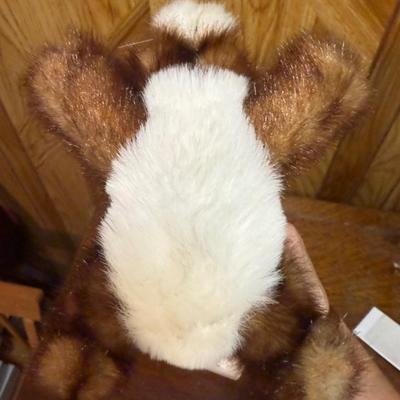 Mink rabbit