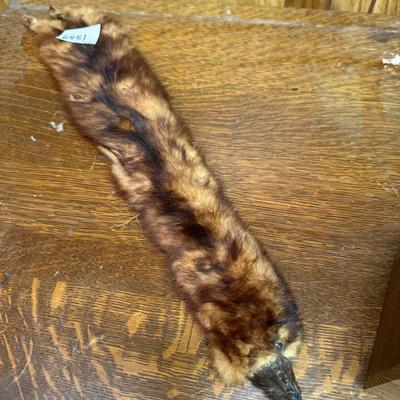 Mink pelt
