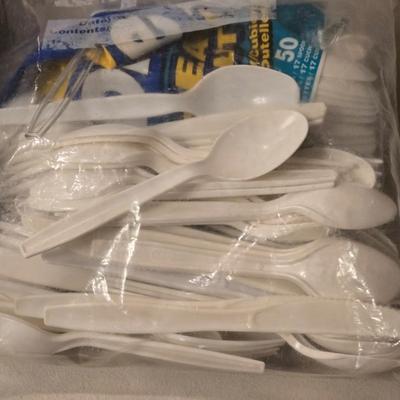 Plastic Cutlery and Paper Napkins