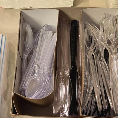Plastic Cutlery and Paper Napkins