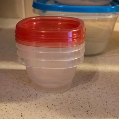 Ice Trays and Storage Containers Lot