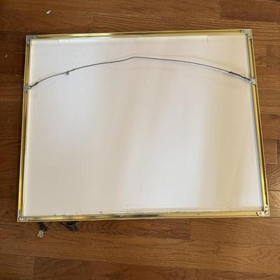 Two Floral Framed Prints (P-MK)