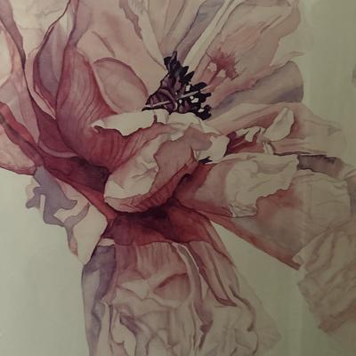 Two Floral Framed Prints (P-MK)