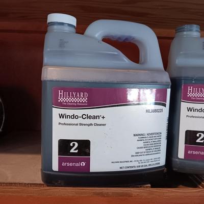 HILLYARD PROFESSIONAL STRENGTH WINDO-CLEAN +