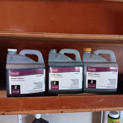HILLYARD PROFESSIONAL STRENGTH WINDO-CLEAN +