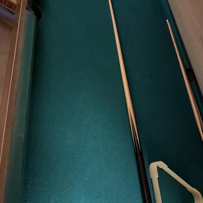 Ping pong/pool table