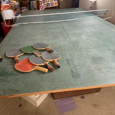 Ping pong/pool table