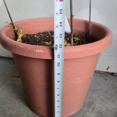 Plastic Planter with Plant Cage