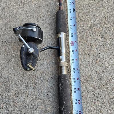 Browning Silaflex Rod and Garcia Mitchell 300 Reel