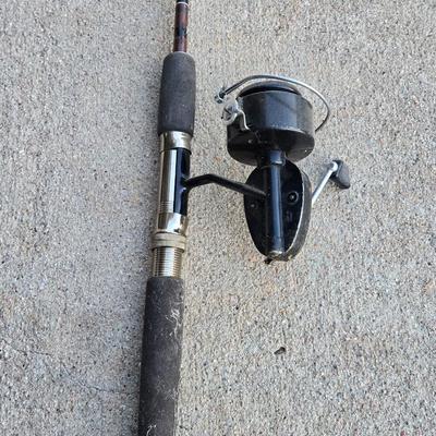 Browning Silaflex Rod and Garcia Mitchell 300 Reel