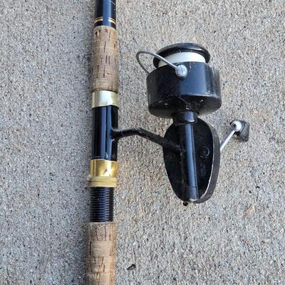 Daiwa Rod with a Garcia Mitchell 300 Reel