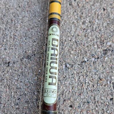 Daiwa Rod with a Garcia Mitchell 300 Reel