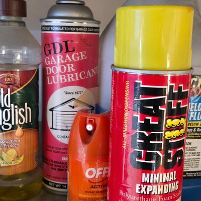 Garage and Household Chemicals