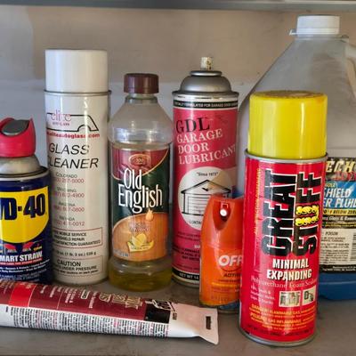 Garage and Household Chemicals