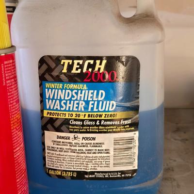Garage and Household Chemicals