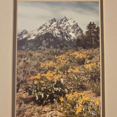 2 Photographs and Signed by the Artist