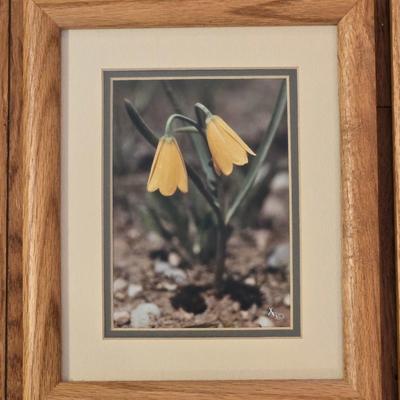 2 Photographs and Signed by the Artist