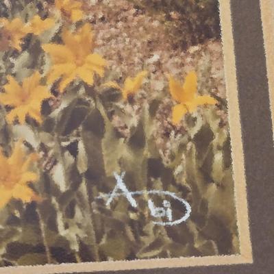2 Photographs and Signed by the Artist