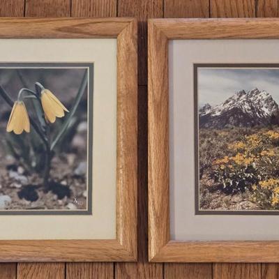 2 Photographs and Signed by the Artist