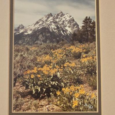 2 Photographs and Signed by the Artist