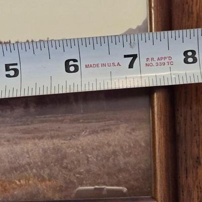 Photograph Set