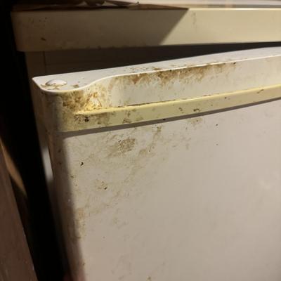 Kenmore Household Freezer (L-TF)