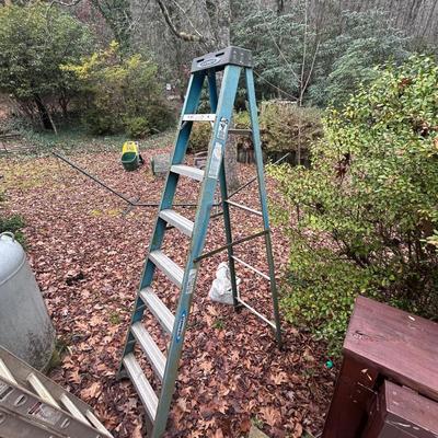 Pair of Werner Ladders (D-BB)