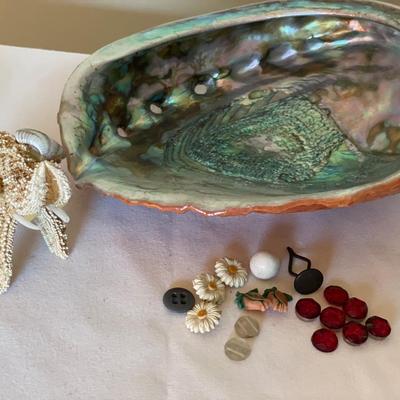Shells and very old buttons/beads