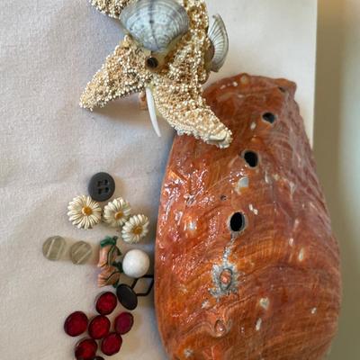 Shells and very old buttons/beads