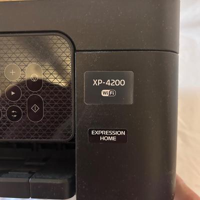Epson Printer, Lacie Hard Drive and Microsoft Keyboard (O-BB)