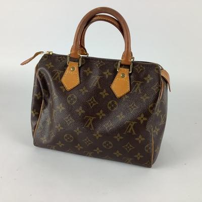 401 Louis Vuitton Speedy Handbag