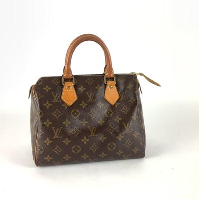 401 Louis Vuitton Speedy Handbag