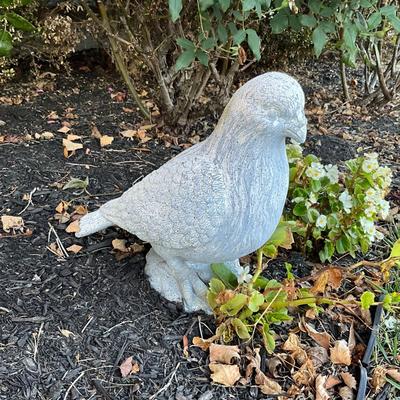 454 Composite Pigeon Statue * UPDATE*