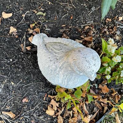 454 Composite Pigeon Statue * UPDATE*