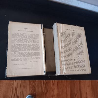 NOVELS AND NONFICTION BOOKS PLUS AN OLD GERMAN BIBLE