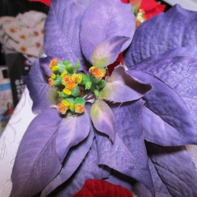 Poinsettias & berries, & shiny blue beaded bush for décor