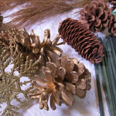 Pinecone assortment & pick sticks