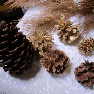 Pinecone assortment & pick sticks